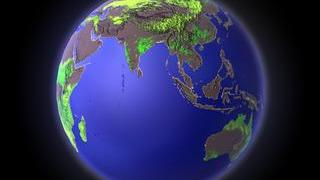 Grasslands (in green) over the Asian hemisphere