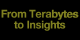 Conference title From Terabytes to Insights as it appears in the animation.  For print media use.
