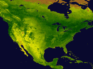 NDVI image of North America
