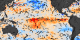 SST Anomalies and SS Wind Anomalies from 21 Jan 2003 (with gray arrows)
