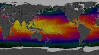 This animation show a year in the life of global ocean temperatures, June 2, 2002 to May 11, 2003. Green indicates the coolest water, yellow the warmest. The Advanced Microwave Scanning Radiometer (AMSR-E) on the Aqua satellite saw through the clouds to provide sea surface temperatures.