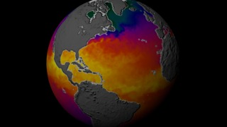 This animation show a year in the life of global ocean temperatures, June 2, 2002 to May 11, 2003. Green indicates the coolest water temperatures. Yellow shows the warmest temperature.