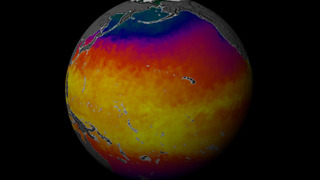 This animation show a year in the life of global ocean temperatures, June 2, 2002 to May 11, 2003. Green indicates the coolest water, yellow the warmest. 
