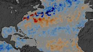 This animation show a year in the life of global ocean temperatures, June 2, 2002 to May 11, 2003. Blue indicates the coolest water, Red the warmest. 