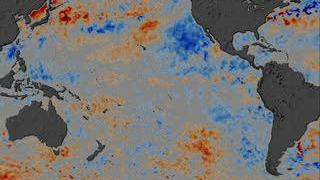 This animation show a year in the life of global ocean temperatures, June 2, 2002 to May 11, 2003. Blue indicates the cooler-than-normal water. Red shows  warmer-than-normal water. 