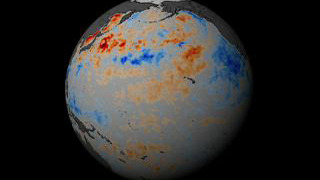 This animation show a year in the life of global ocean temperatures, June 2, 2002 to May 11, 2003. Blue indicates the colder-than-normal anomalous water.  Red shows warmer-than-normal anomalous water. 