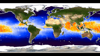 This animation shows how the sea surface temperature can cause hurricanes to form.  Areas shown in orange and yellow are above 82 degrees F (27.8 degrees C) which is required for hurricanes to be able to form.  Sea surface temperatures below 82 degrees F are shown in blue.This product is available through our Web Map Service.