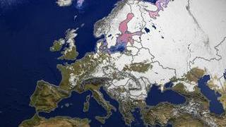 This image shows the snow cover and sea ice surface
temperature over Europe on February 7, 2003.