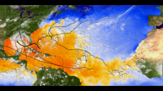 The 2005 hurricane season showing sea surface temperatures, clouds, and named storm tracks.  Cloud data comes from GOES-12 and sea surface temperature comes from AMSR-E.This product is available through our Web Map Service.