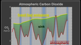 Graph with fossil fuel emissions, atmospheric increase, sink, and ENSO bars