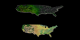 The Annual Vegetation Cycle data (in shades of green) is the topmost dataset in this image.  The MODIS Landcover Classification data (in shades of yellow, orange, and green) is the bottommost dataset in this image.