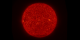Left-eye movie of the solar disk in the 304 Angstrom filter.