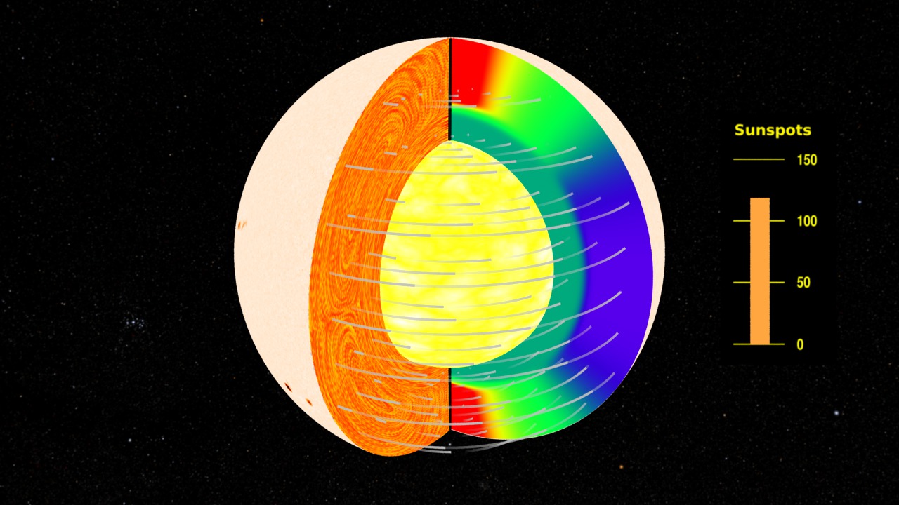 This movie starts with a view of the Sun with sunspots changing as part of the solar cycle.  The surface opens to reveal the interior flows of plasma.