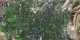 Landsat urban growth sequence for Las Vegas  This  product is available through our Web Map Service .
