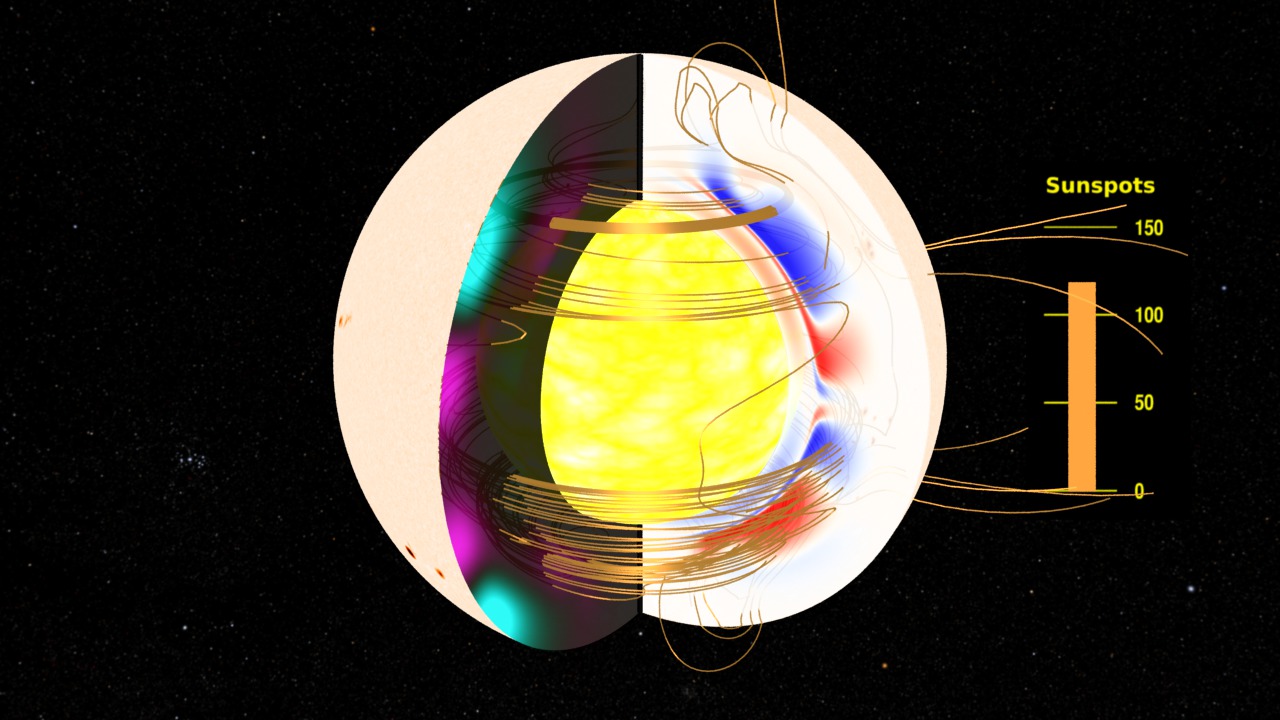 Preview Image for The Solar Dynamo: Toroidal and Poloidal Magnetic Fields