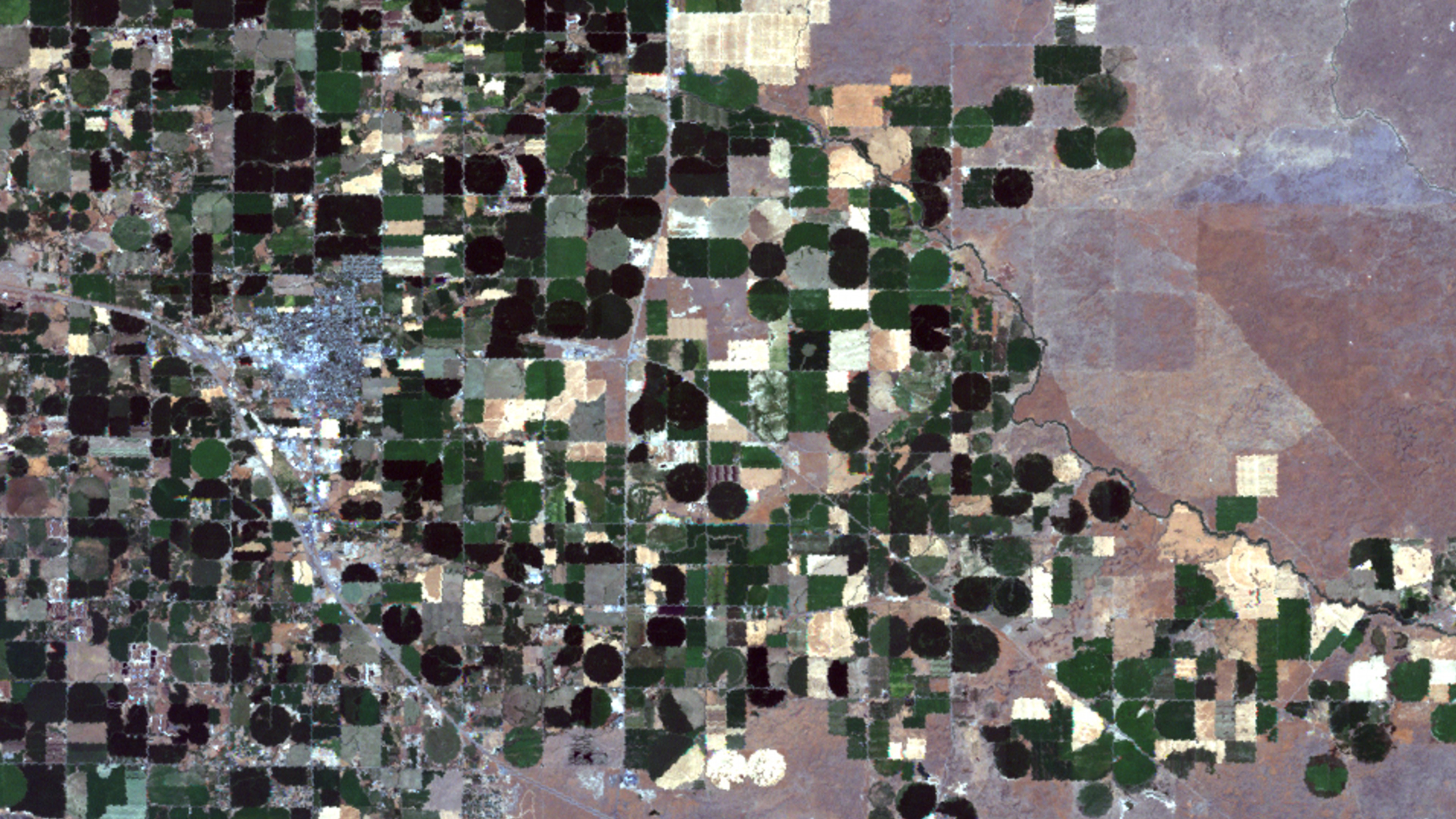 This visible spectrum image shows an agricultural region in Idaho. The round, green circles are individual irrigated farm fields. The image was created by combining Landsat bands 1, 2 and 3.