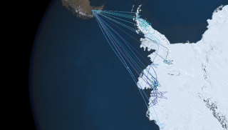 Operation Ice Bridge flights originating at the tip of South America track along  Antarctica's Peninsula, the Getz Ice Shelf and explore the Pine Island,  Thwaites, Smith, and Kohler glaciers. 