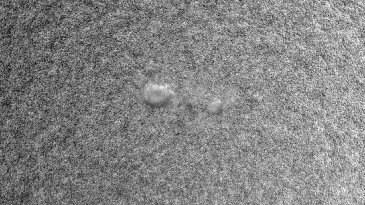This movie is a dopplergram of the sunspot group of March 29, 2010 taken with HMI.