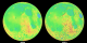 Globes showing lunar elevation data from 2005 (ULCN) and 2010 (LOLA) rotate side-by-side for comparison.