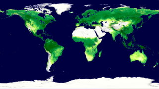 Link to Recent Story entitled: How Much Carbon do Plants Take from the Atmosphere?