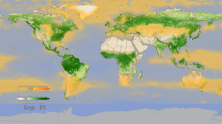 In this animation, NASA instruments show the seasonal cycle of vegetation and the concentration of carbon dioxide in the atmosphere. The animation begins on January 1, when the northern hemisphere is in winter and the southern hemisphere is in summer. At this time of year, the bulk of living vegetation, shown in green, hovers around the equator and below it, in the southern hemisphere.As the animation plays forward through mid-April, the concentration of carbon dioxide, shown in orange-yellow, in the middle part of Earth's lowest atmospheric layer, the troposphere, increases and spreads throughout the northern hemisphere, reaching a maximum around May. This blooming effect of carbon dioxide follows the seasonal changes that occur in northern latitude ecosystems, in which deciduous trees lose their leaves, resulting in a net release of carbon dioxide through a process called respiration. Carbon dioxide is also released in early spring as soils begin to warm. Almost 10 percent of atmospheric carbon dioxide passes through soils each year.After April, the northern hemisphere moves into late spring and summer and plants begin to grow, reaching a peak in the late summer. The process of plant photosynthesis removes carbon dioxide from the air. The animation shows how carbon dioxide is scrubbed out of the atmosphere by the large volume of new and growing vegetation. Following the peak in vegetation, the drawdown of atmospheric carbon dioxide due to photosynthesis becomes apparent, particularly over the boreal forests.Note that there is roughly a three-month lag between the state of vegetation at Earth's surface and its effect on carbon dioxide in the middle troposphere.Data like these give scientists a new opportunity to better understand the relationships between carbon dioxide in Earth's middle troposphere and the seasonal cycle of vegetation near the surface.Creating the AnimationThis animation was created with data taken from two NASA spaceborne instruments. The concentration of carbon dioxide data from the Atmospheric Infrared Sounder (AIRS), a weather and climate instrument that flies aboard NASA's Aqua spacecraft, is overlain on measurements of vegetation index from the Moderate Resolution Imaging Spectroradiometer (MODIS) instrument, also on NASA's Aqua spacecraft, to better understand how photosynthesis and respiration influences the atmospheric carbon dioxide cycle over the globe. The animation runs from January through December and repeats. The AIRS tropospheric carbon dioxide seasonal cycle values were made by averaging AIRS data collected between 2003 and 2010, from which the annual carbon dioxide growth trend of 2 parts per million per year has been removed. For example, the data used for January 1 is actually an average of eight years of AIRS carbon dioxide data taken each year on January 1. The vegetation values were made using data averaged over a four-year period, from 2003 to 2006.Further DetailAIRS uses infrared technology to determine the concentration of atmospheric water vapor and several important trace gases as well as information about temperature and clouds. AIRS orbits Earth from pole-to-pole at an altitude of 438 miles (705 kilometers), measuring Earth's infrared spectrum in 3,278 channels spanning a wavelength range from 3.74 microns to 15.4 microns. Originally designed to improve weather forecasts, AIRS has improved operational five-day weather forecasts more than any other single instrument over the past decade. AIRS has also been found to be sensitive to atmospheric carbon dioxide in the middle troposphere, at an altitude of 5 to 10 kilometers or 3 to 6 miles. AIRS is managed by NASA's Jet Propulsion Laboratory, Pasadena, Calif., under contract to NASA. JPL is a division of the California Institute of Technology in Pasadena. For further information, access the AIRS projectThe MODIS instrument is managed by NASA's Goddard Space Flight Center, Greenbelt, Md. For further information, access the MODIS project.