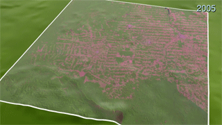 Preview Image for Deforestation in Rondonia, Brazil