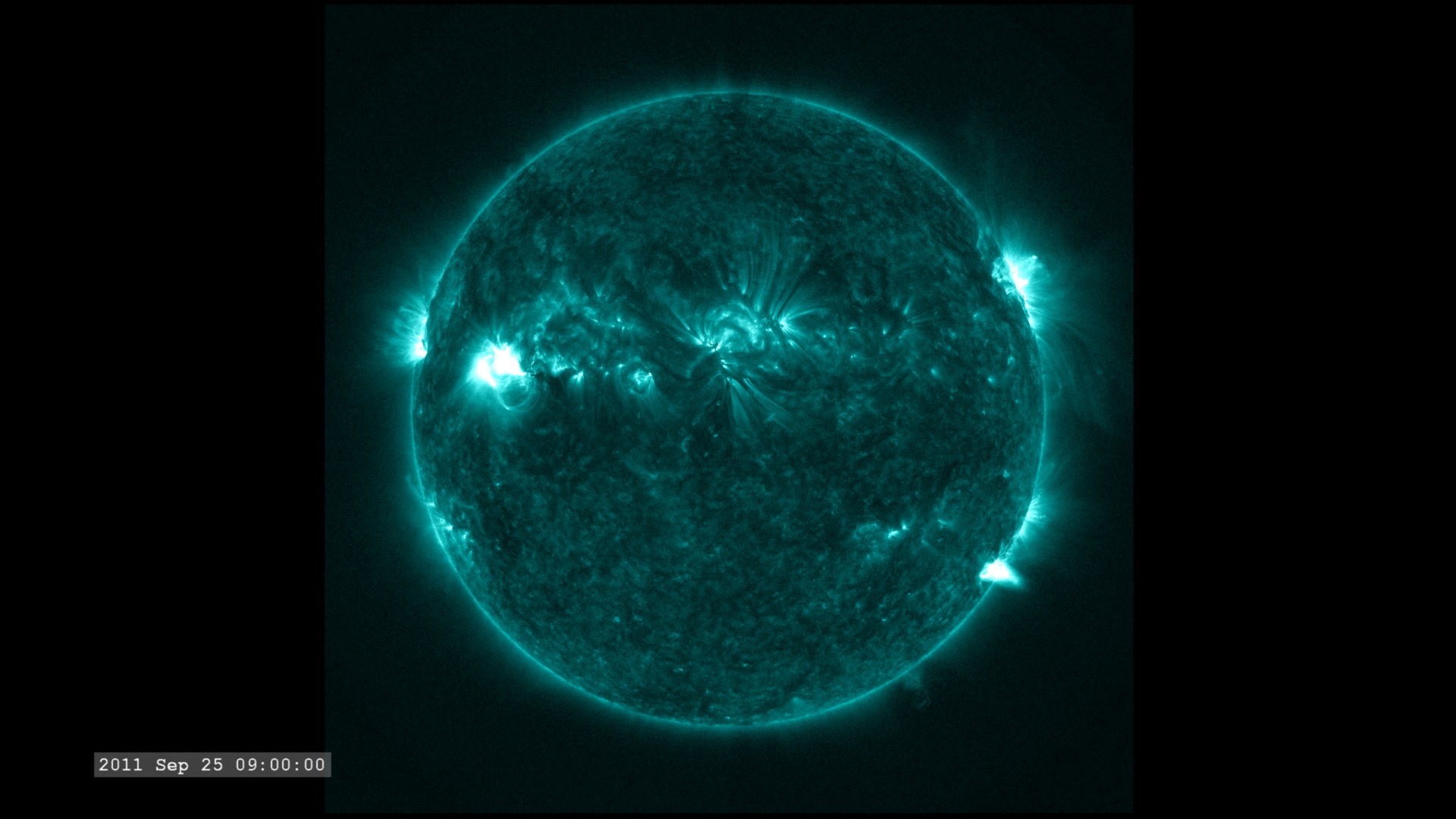 Preview Image for The Active Sun from SDO: 131 Ångstroms