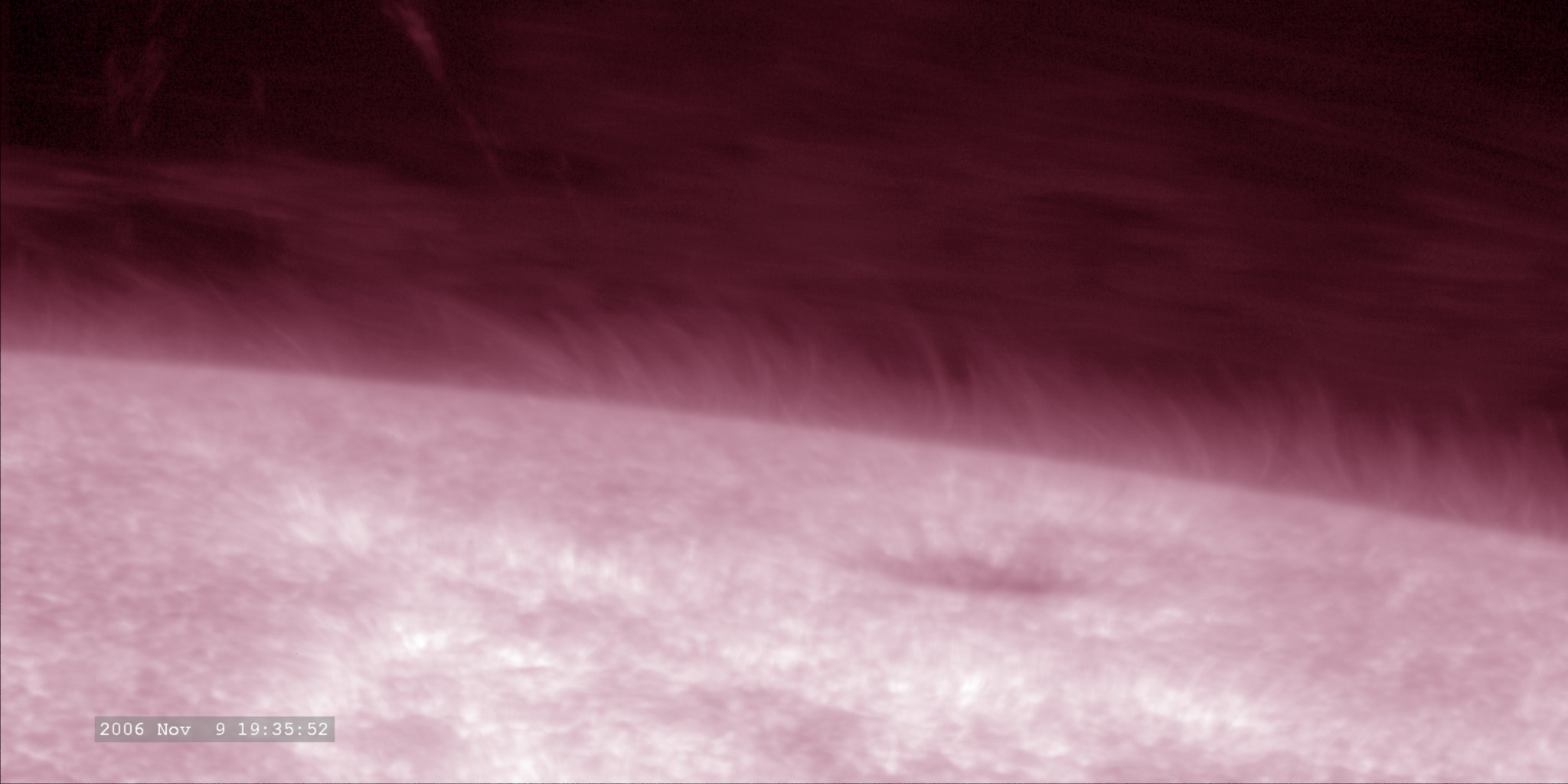 A view of the limb of the Sun, in the H-line of singly-ionized calcium.  A sunspot is visible as are many spicules (the grass-like wavy things).