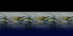 Sample composite of the Hurricane Sandy segment for the SOS show 