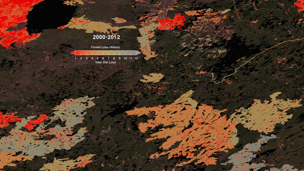 This visualization shows the cumulative forest cover loss from 2000 through 2012 for Colorado, Oklahoma, and Saskatechewan. The movie starts with a view of the United States using landsat data showing tree cover data. Then, the movie zooms into Colorado where forest loss from 2000 through 2001 is highlighted. Next, the cumulative loss from 2000 through 2002 is displayed with the most recent loss shown in bright red. The frame sequence continues to show the total cumulative loss from 2000 through 2012 with the latest loss in bright red and the earlier loss in yellows and greys.Next the camera zooms into Oklahoma to see the cumulative forest cover loss from 2000 through 2012 in that region.  Finally the camera goes to Saskatchewan, Canada to see the forest cover loss in that region between 2000 and 2012. 