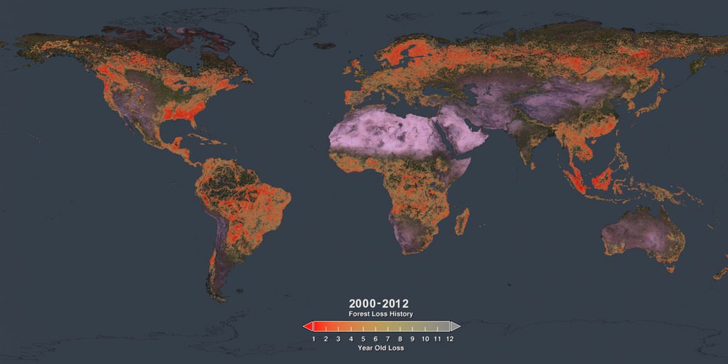 This 14 second visualization shows the cumulative global forest cover loss from 2000 through 2012. The movie starts with a global view of the landsat data showing tree cover data of the studied area.  Then, the forest loss from 2000 through 2001 is highlighted.  Next, the cumulative loss from 2000 through 2002 is displayed with the most recent loss shown in bright red. By the end of the frame sequence, the total cumulative loss from 2000 through 2012 is displayed with the latest loss in bright red and the earlier loss in yellows and greys.