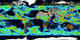 An animation showing global precipitation accumulating from 8/4/2014 through 8/10/2014.  The very large accumulation near Japan is Typhoon Halong.  This accumulation is calculated from the IMERG precipitation dataset.