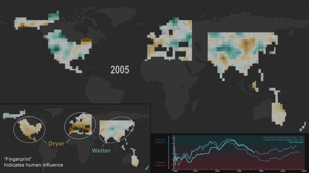This visualization displays a global drought atlas dating back to 1400, created using data from tree rings.  The data is displayed on a flat rectangular map projection with a simple overlay depicting the differences in tree ring sizes for dry and wet years.  In the second half of the visualization, a ‘fingerprint’ thumbnail is introduced, which is an indicator for human influences on climate change.  A signal-to-noise ratio graph is depicted comparing the fingerprint to both tree ring drought atlas data and observational meteorological data (CRU and Dai)