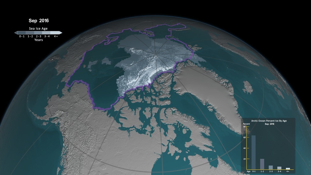This visualization shows the age of the sea ice between 1984 and 2016.  Younger sea ice, or first-year ice, is shown in a dark shade of blue while the ice that is four years old or older is shown as white. A bar graph displayed in the lower right corner quantifies the percent of total sea ice in each age category.