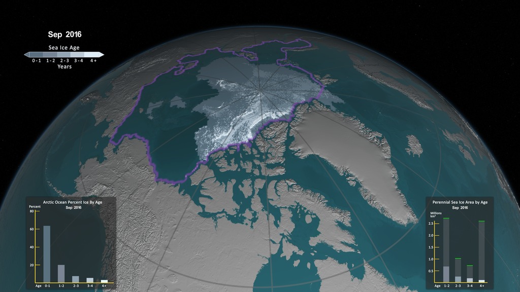 This visualization shows the age of the sea ice between 1984 and 2016. Younger sea ice, or first-year ice, is shown in a dark shade of blue while the ice that is four years old or older is shown as white. Two bar graphs,  described below, are shown in the lower left and right corners.  This video is also available on our YouTube channel.