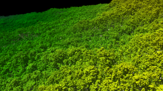 2018 Lidar traverse of El Yunque National Forest, Puerto Rico. Notice the jagged sparser nature of the tree canopy after Hurricane Maria hit in late 2017. Much more ground has also been exposed.