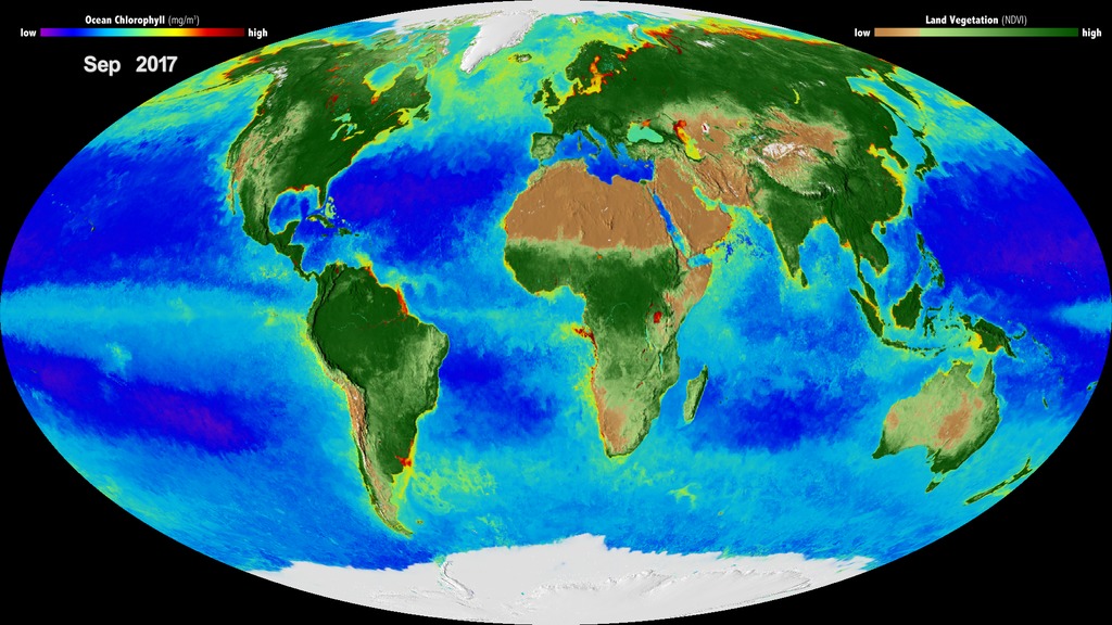 This Mollweide projected data visualization shows 20 years of Earth's biosphere starting in September 1997 going through September 2017. Data for this visualization was collected from multiple satellites over the past twenty years.