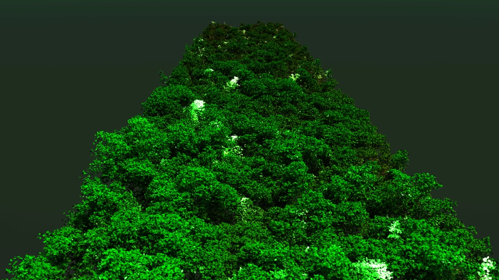 Preview Image for Brazilian Rainforest Canopy Change at Mission Start 2013-2014-2016