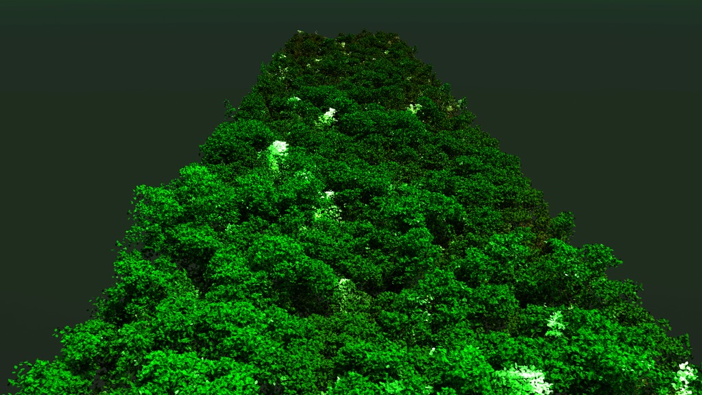 Into the Unknown: NASA Space Laser Provides Answers to a Rainforest Canopy Mystery