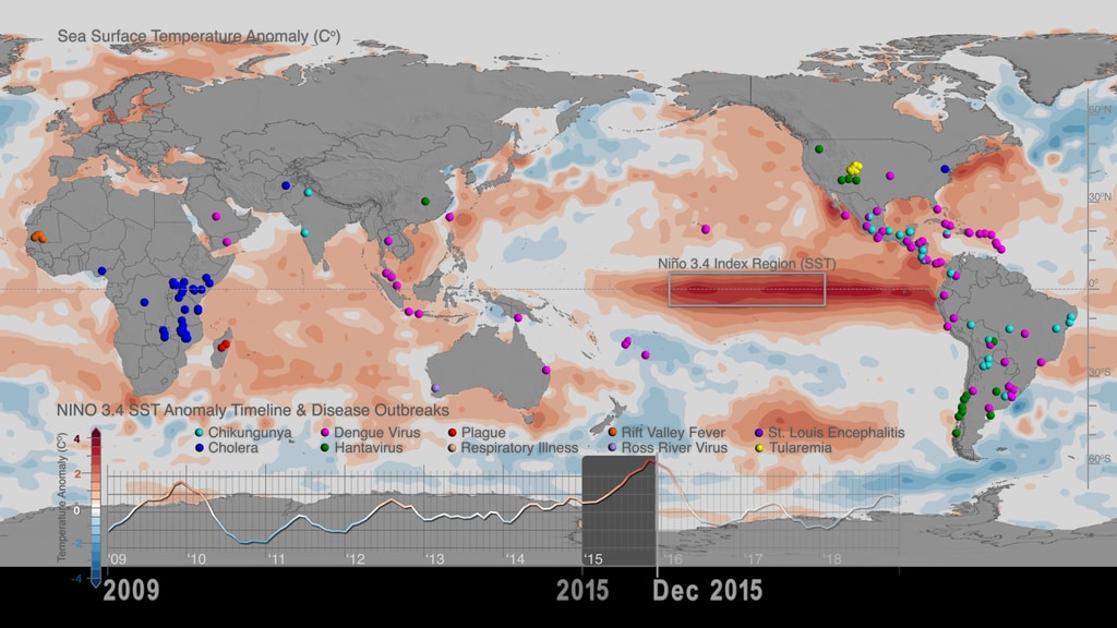El Niño is an irregularly recurring climate pattern characterized by warmer than usual ocean temperatures in the equatorial Pacific, which creates a ripple effect of anticipated weather changes in far-spread regions. This visualization captures monthly Sea Surface Temperature (SST) anomalies around the world from 2009-2018, along with locations of global disease outbreaks and a corresponding timeline showcasing the Niño 3.4 Index. The Niño 3.4 Index represents average equatorial sea surface temperatures in the Pacific Ocean from about the International Date Line to the coast of South America. Highlighted in the timeline are the above average El Niño years, in which sea surface temperature anomalies peaked during 2015-2016.