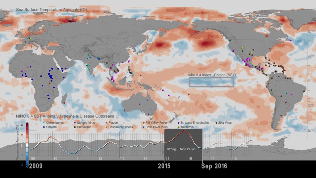 This visualization shows the variability in global sea surface temperature anomalies, the associated ENSO index timeline and locations of infectious disease outbreaks over the global land surface. Content is available in 4K resolution.