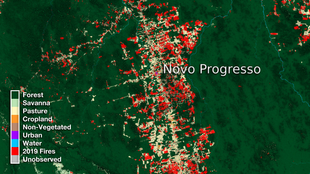 This animation begins by showing the similar sizes between the country of Brazil and the United States. It then cycles through over three decades of classification data for the entire Northern half of Brazil. We then zoom down to the town of Novo Progresso and compare its relative size to the San Francisco Bay region. Next we cycle through over three decades of transformation in the region showing how the north/south corridor of this region changed over time. Lastly, we fade in 2019 fire data to indicate how the data will continue to change into the upcoming year.