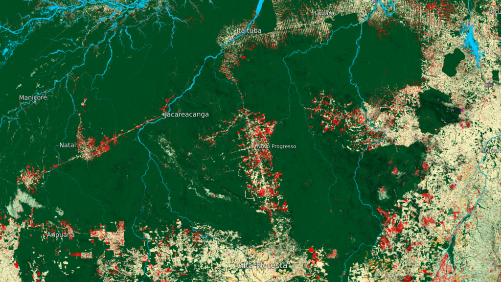 Preview Image for Novo Progresso Surrounding Region Land Use Data Over Time