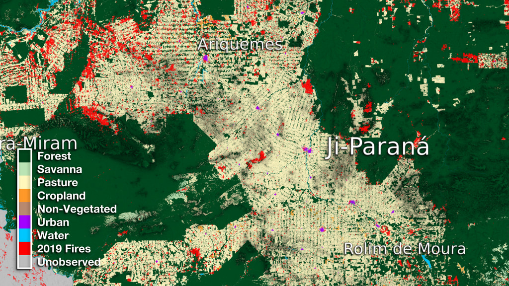 Preview Image for Ji-Paraná Land Use Data Over Time
