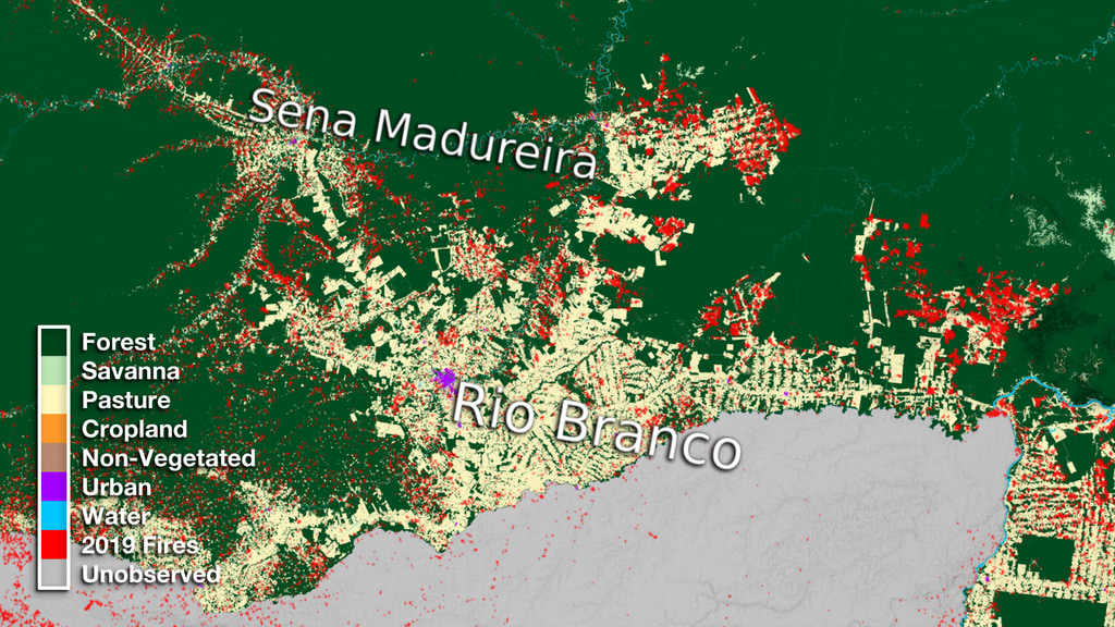 This data visualization begins with a wide view of Northern Brazil. It then zooms down to the region surrounding the town of Rio Branco and compares its relative size to the San Francisco Bay area. Next we cycle through over three decades of land use transformation showing pasture expansion over time. Lastly, we fade in 2019 fire data to indicate how the data will continue to change into the upcoming year.