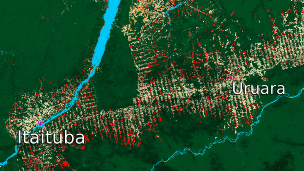 Preview Image for Itaituba and Uruara Land Use Data Over Time