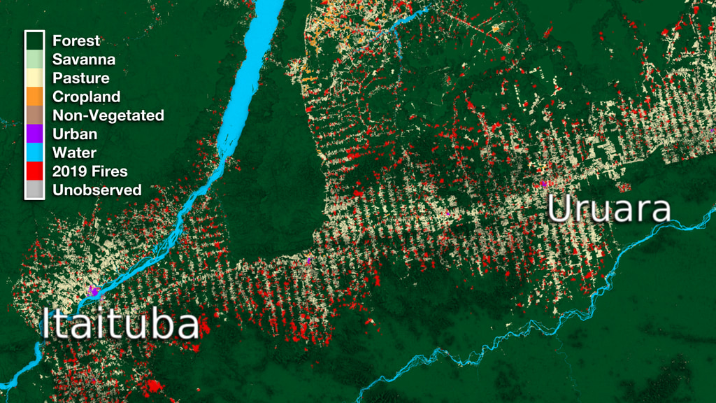 Preview Image for Itaituba and Uruara Land Use Data Over Time
