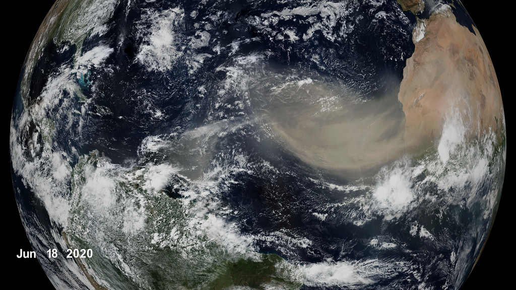 Visualization of the Godzilla Dust Storm during June 2020.