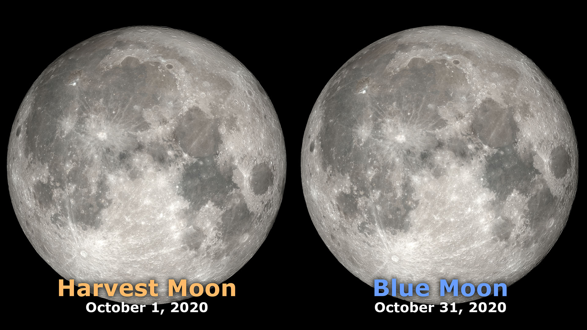 Preview Image for Halloween Blue Moon