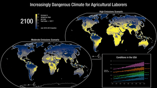 A warming climate will create challenges for agricultural workers as well as the crops which they grow. This visualization shows the increased number of days per year that are expected to have a NOAA Heat Index greater than 103 degrees Fahrenheit, a threshold that NOAA labels ‘dangerous’ given that people struggle to regulate their body temperatures at this level of heat and humidity. These results are from an ensemble of 22 global climate models from the Sixth Coupled Model Intercomparison Project (CMIP6) bias-adjusted by the NASA Earth Exchange (NEX GDDP). Two projections are visualized, one for a moderate emissions climate scenerio (SSP2-4.5) and one for a high emmissions climate scenerio (SSP5-8.5).